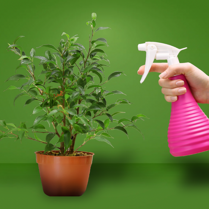 Learn how to grow healthier, happier plants with our step-by-step guide on light, water, nutrients, and more. Grow with purpose — the WholeLeaf way.”