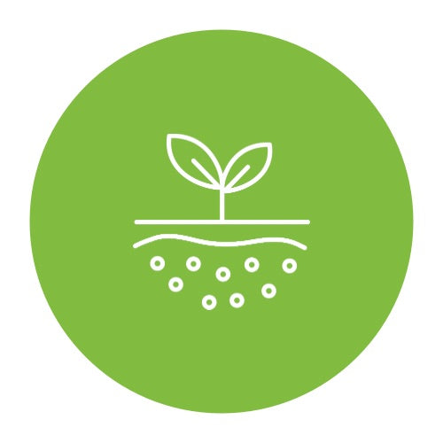 Base-Nutrients Whole Leaf Healing Tree