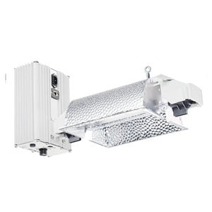 HPS Whole Leaf Healing Tree