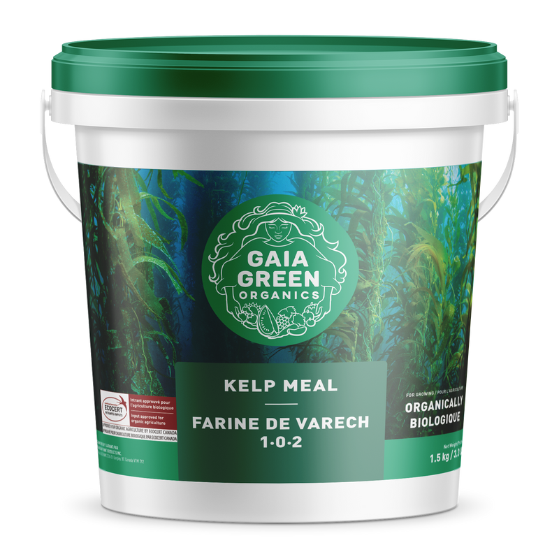 Gaia Green Kelp Meal 10kg Gaia Green