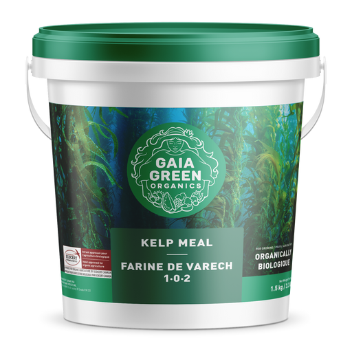 Gaia Green Kelp Meal 10kg Gaia Green