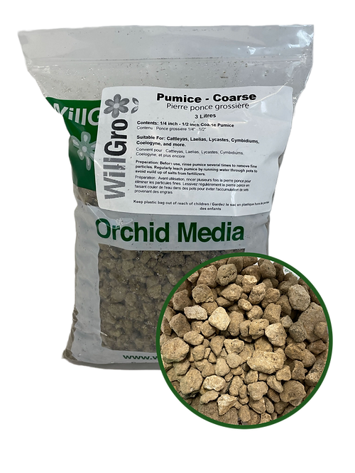 Large Coarse Pumice WillGro Whole Leaf Healing Tree