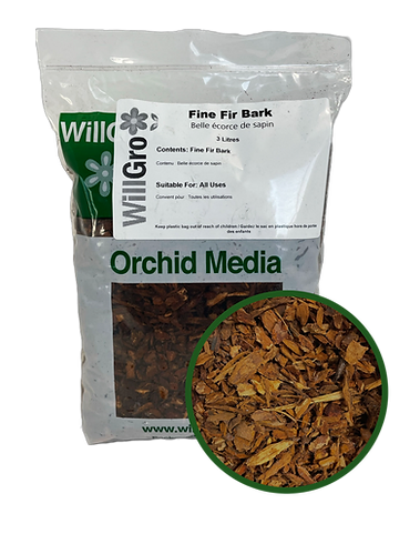 Fine Fir Bark WillGro Whole Leaf Healing Tree
