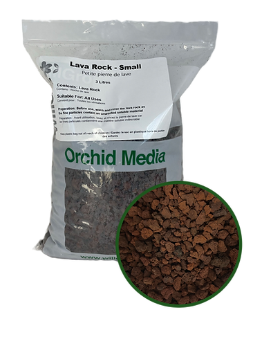 Small Lava Rock WillGro Whole Leaf Healing Tree