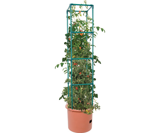 Heavy Duty Tomato Barrel w/Tower Whole Leaf Healing Tree