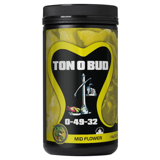 Holland Secret Ton O Bud Eddi's