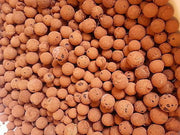 Hydroton Clay Pellets LECA Mother Earth