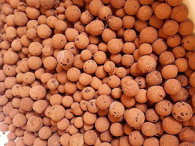 Hydroton Clay Pellets LECA Mother Earth