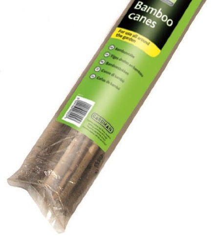 Bamboo cane stakes Eddi's