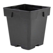 Square Pots Biofloral