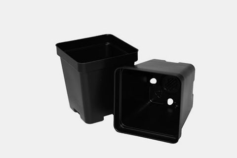 Square Pots Biofloral
