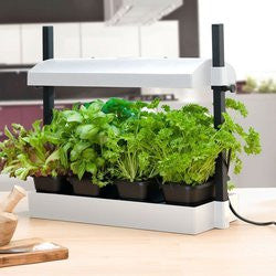 Sunblaster Growlight Garden Micro Eddi's