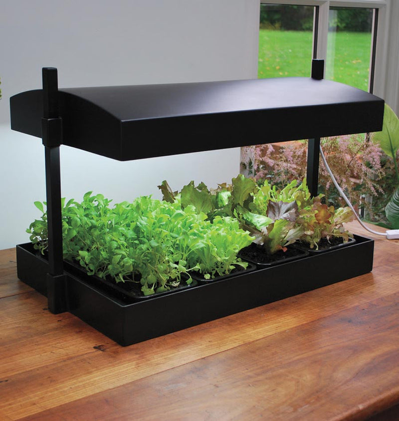 Sunblaster GrowLight Garden T5 LG SunBlaster