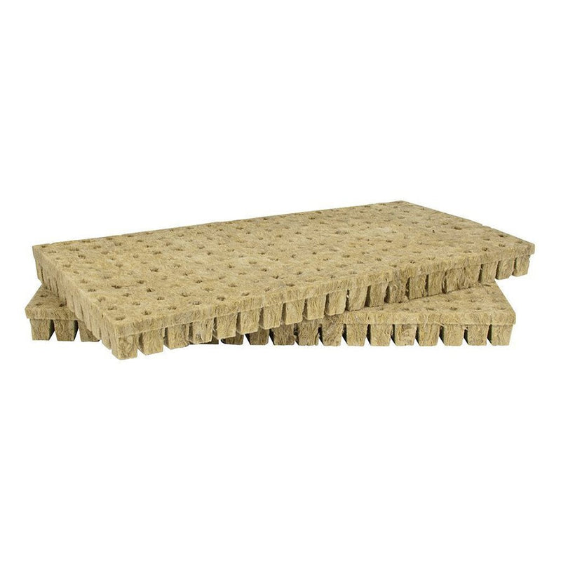 Rockwool A-Ok 1.5" Starter Plugs (98) Biofloral