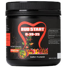 Holland Secret Bud Start Eddi's