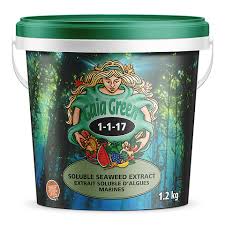 Gaia Green Soluble Seaweed Extract Gaia Green
