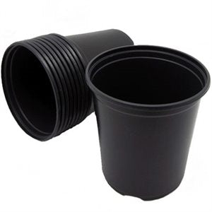 Round Pots Hawthorne