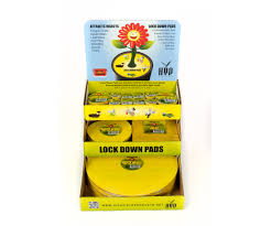 Lock Down Pads Eddi's