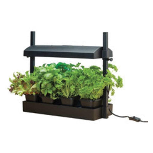 Sunblaster Growlight Garden Micro Eddi's