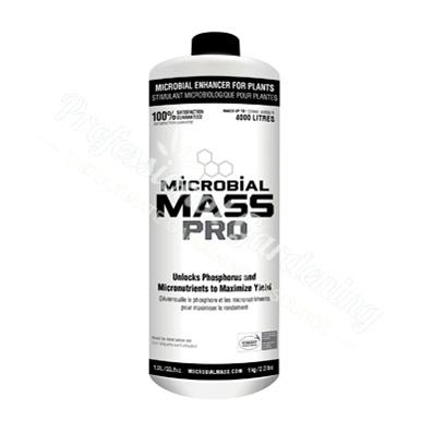 Miicrobial Mass Pro - Concentrate Quality Wholesale