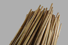 Natural Bamboo Cane Stake 5' Eddi's
