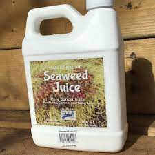 Seaweed Juice Pure Atlantic Harvest Ocean Products