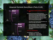 Advanced Sensi Bloom Advanced Nutrients