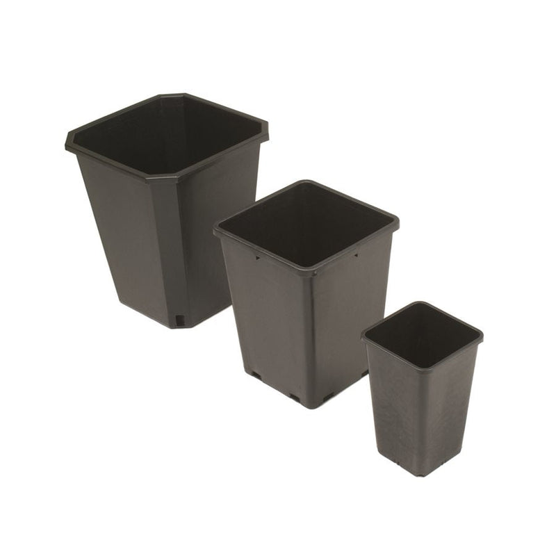 Square Pots Biofloral