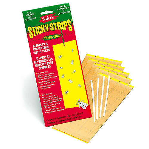 Sticky Strips Quality Wholesale