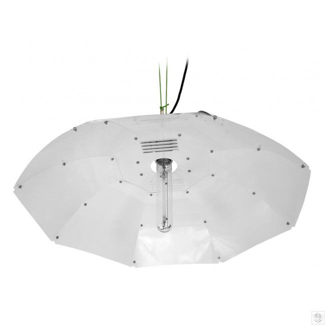 Parabolic Reflector White 8/9pc Eddi's