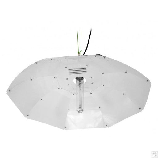 Parabolic Reflector White 8/9pc Eddi's