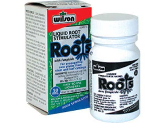Wilson Roots Liquid Gel 50ml Eddi's